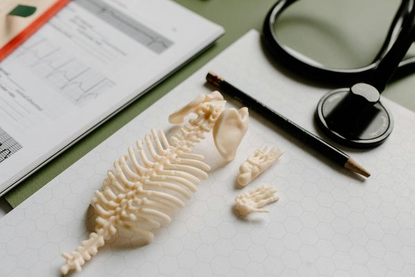 Grignotage bien équilibré : Quels sont les meilleurs snacks entre les repas ?